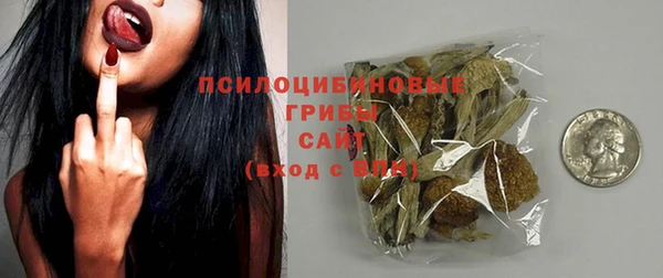 ГАЛЛЮЦИНОГЕННЫЕ ГРИБЫ Гусев