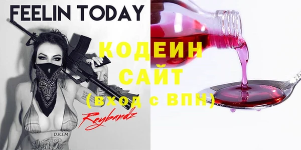 ГАЛЛЮЦИНОГЕННЫЕ ГРИБЫ Гусев