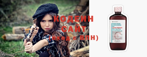 ГАЛЛЮЦИНОГЕННЫЕ ГРИБЫ Гусев