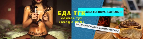 ГАЛЛЮЦИНОГЕННЫЕ ГРИБЫ Гусев