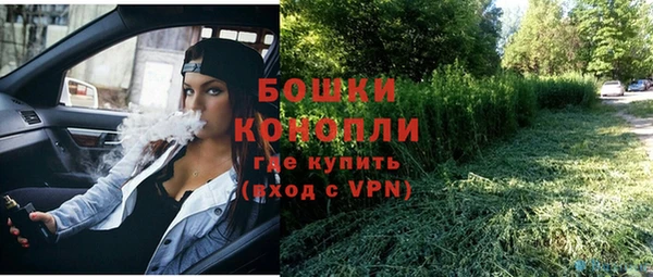 ГАЛЛЮЦИНОГЕННЫЕ ГРИБЫ Гусев
