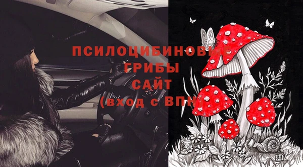 твердый Гусиноозёрск
