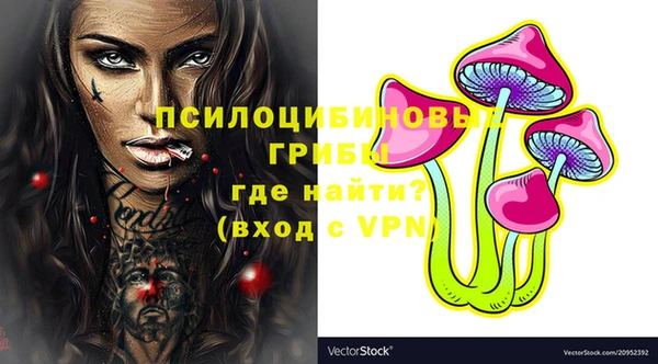 мескалин Галич