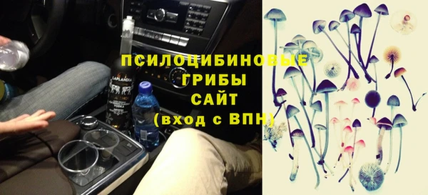 мескалин Галич