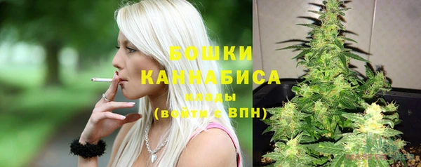 ГАЛЛЮЦИНОГЕННЫЕ ГРИБЫ Гусев
