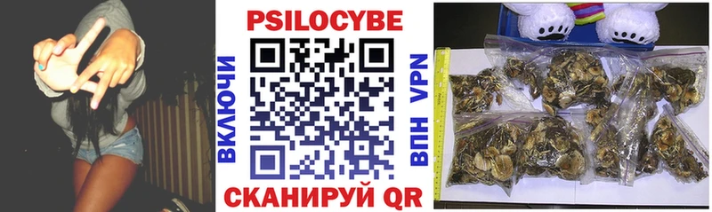 Псилоцибиновые грибы Psilocybe Донской